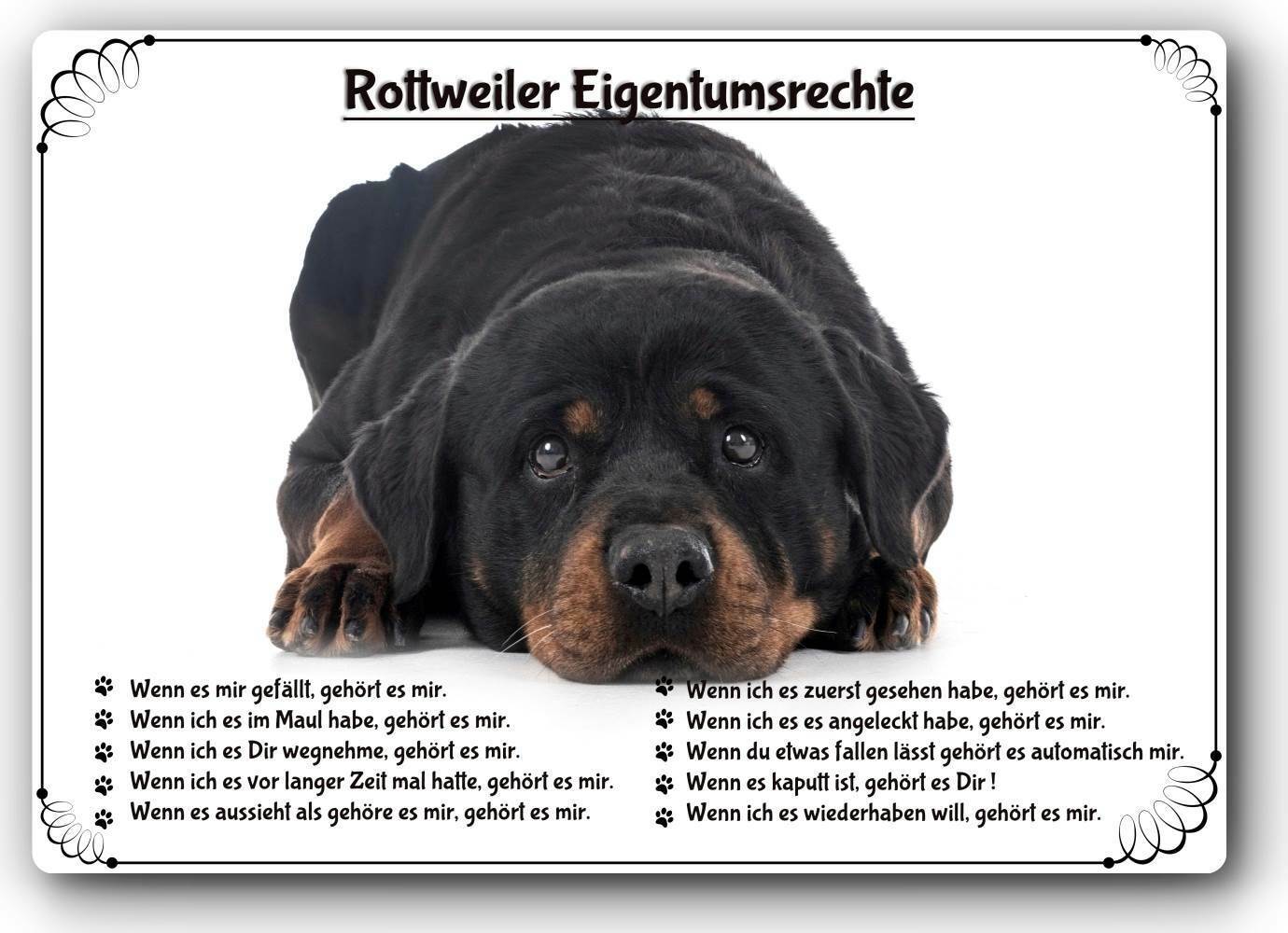Bild 1 von 1