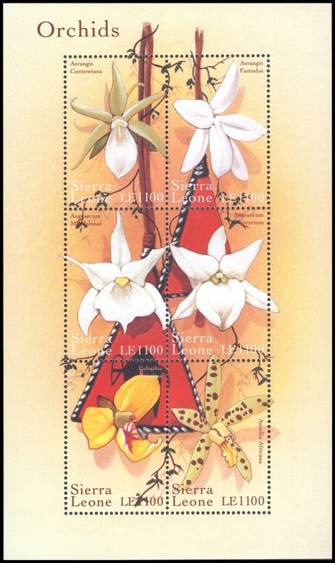 Sierra Leone 2000-2011 #2280, 2975, 3096 MNH Assorted Flora S/S/Orchids/Mushroom