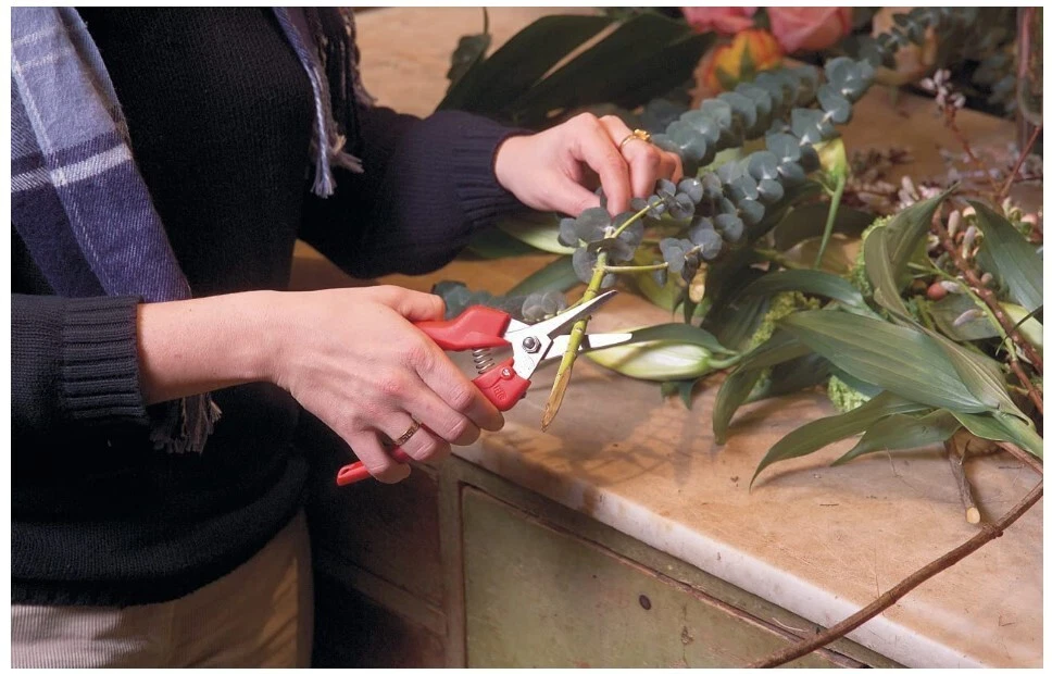 Felco F310 Thinning Shear - Thumbnail 5