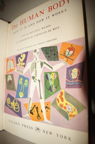 The Human Body Illustrated Colorful Pullout Deluxe Golden Book 1959 1961 Vintage - Picture 10 of 17