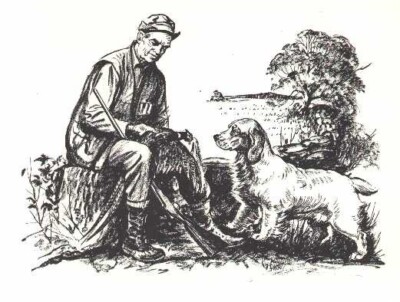 CLUMBER SPANIEL - CUSTOM MATTED - Dog Art Print - 1964
