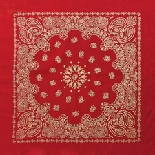 Carolina Creative Bandanna (Red/Gold) Metallic Paisley 22" x 22" Handkerchief