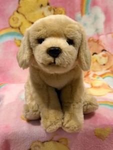 Ganz Webkinz Signature Yellow Labrador Retriever Plush No Code *Read*