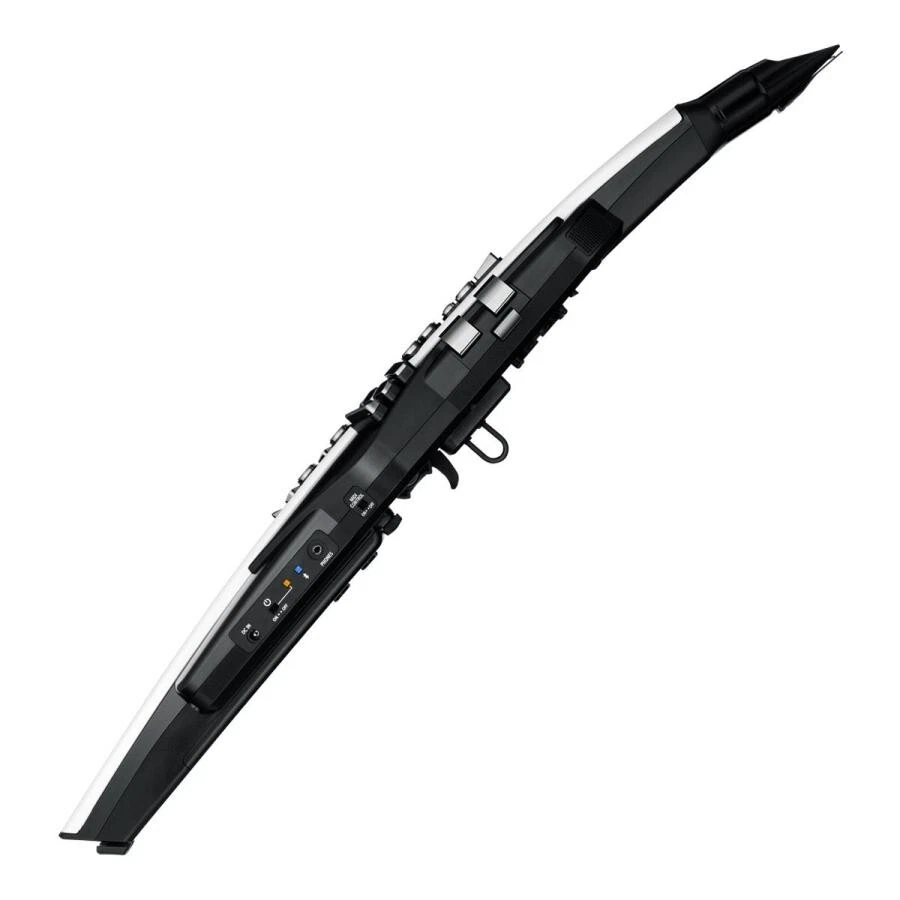 Roland Aerophone AE-20 Digital Wind Synthesizer with Soft Bag Bluetooth MIDI USB - Image 2 of 4