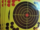 12" Shooting Targets 10 Pack Adhesive Splatter Paper Glow Gun Shots USA — photo 2