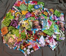 Lot Of 500+ Mixed Variety Pack Flowers Herbs Garden ALL