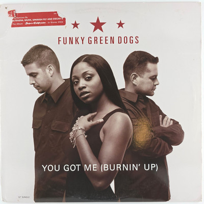 Funky Green Dogs   You Got Me (Burnin' Up) - 2002 Prog House 12'' Vinyl Record