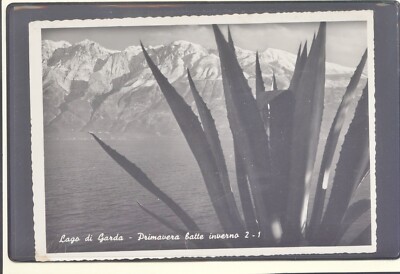 LAKE GARDA SPRING BEATS WINTER 2-1 PANORAMA F185