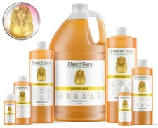 Egyptian Musk Perfume Fragrance Body Oil For Skin, Candle Soap Making Bulk