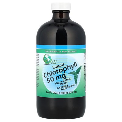 Liquid Chlorophyll, Natural Mint, 16 fl oz (474 ml)