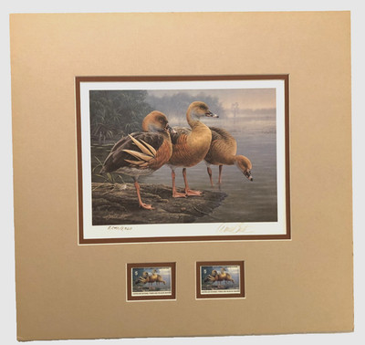 Daniel Smith 1989-1990 Australian Duck Stamp Print Signed 8,240/8,960 Vintage