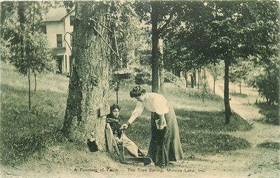 Winona Lake Indiana  Tree Spring Fountain of Youth Excelsior Postcard