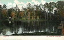 Alabama, AL, Mobile, Spring Hill College Lake UDB Postcard