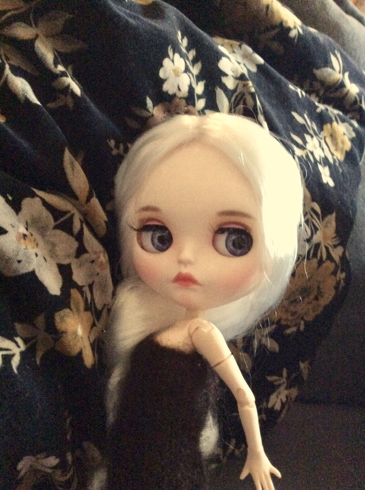 Foto 1 di 7
