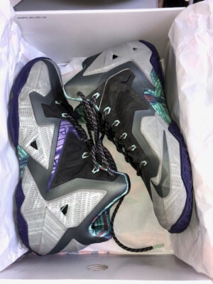 Nike Lebron 11 Terrakotta-Krieger