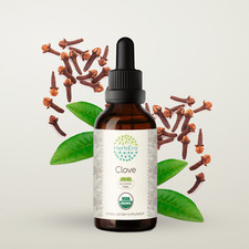 HerbEra Clove Alcohol-FREE Tincture, Organic Clove Syzygium Aromaticum 