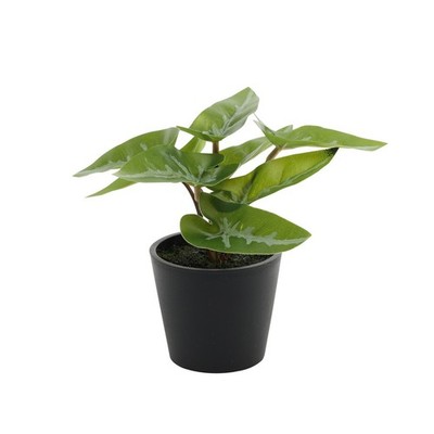 1 Stück Kunstpflanzen Mini Syngonium Topfpflanze Zimmerpflanze (13cm)