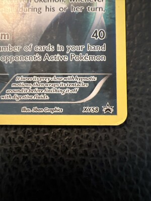 Malamar XY58 Black Star Promo Holo Full Art C1 2015 Pokemon Malamar XY58 Black Star Promo Holo Full Art C1 2015 Pokemon