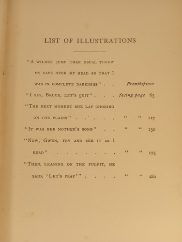 The Sky Pilot by Ralph Connor 1900 Illustrated by Louis Rhead - Western Novel - Picture 17 of 23