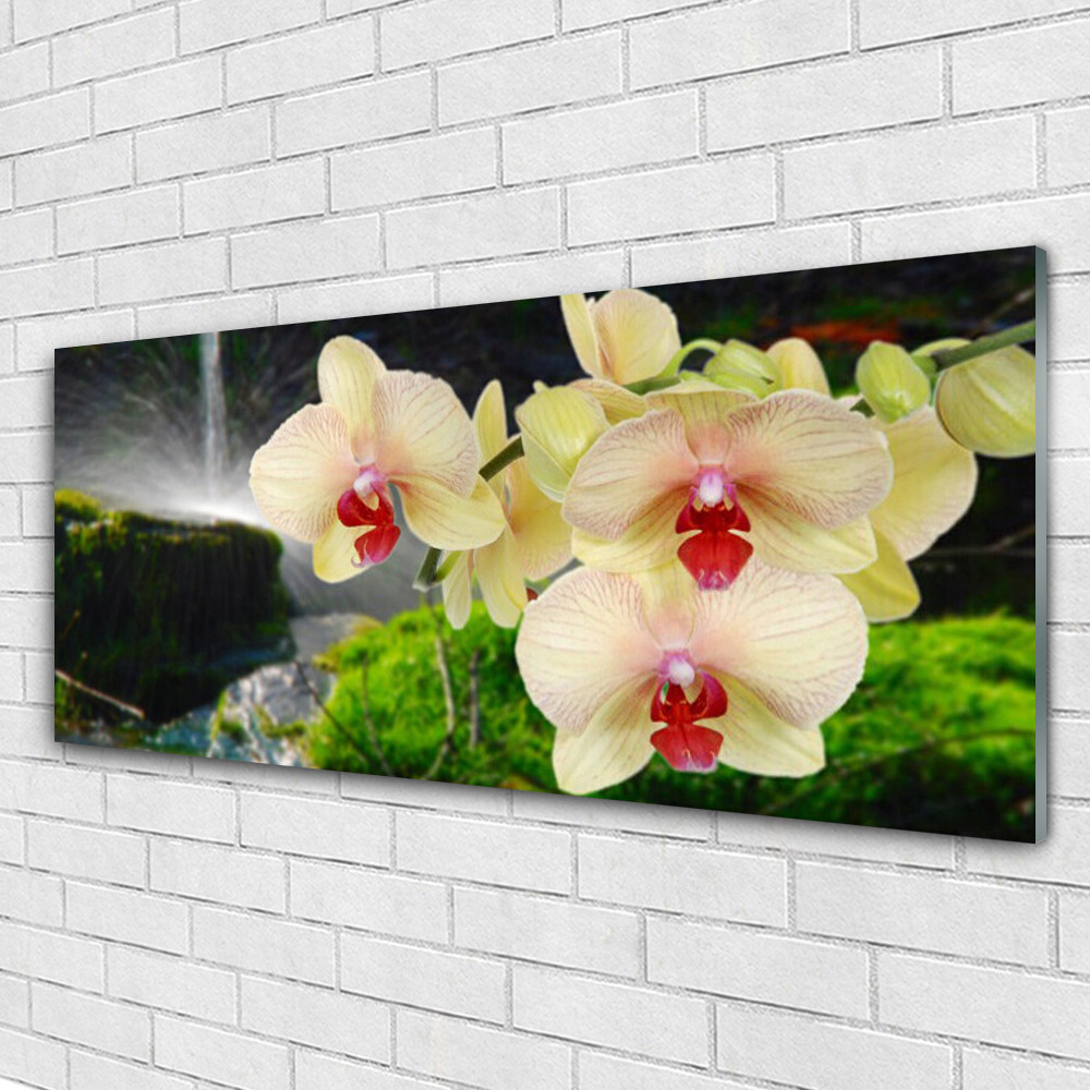 Impression sur verre d'arbres 125x50 cm pour décoration murale zen