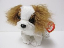 TY Beanie Baby - REGAL the King Charles Spaniel Dog 6 inch - MWMT's
