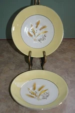 Century Service Corp - AUTUMN GOLD - 6" Saucers (2)