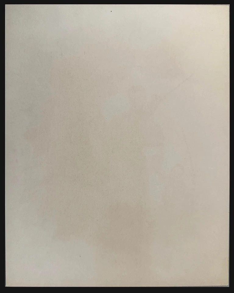 Tarjeta de fan de la película Robin Hood 1952 de acción en vivo de Walt Disney - Excelente estado Foto 3 de 3