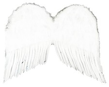 Feather Costume Wings 22" White