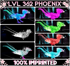 Phoenix MAX LEVEL 362 Imprinted ARK🌸 Survival Ascended ASA PVE PC/XBOX/PS