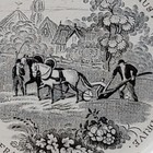 Picture 5 of 9