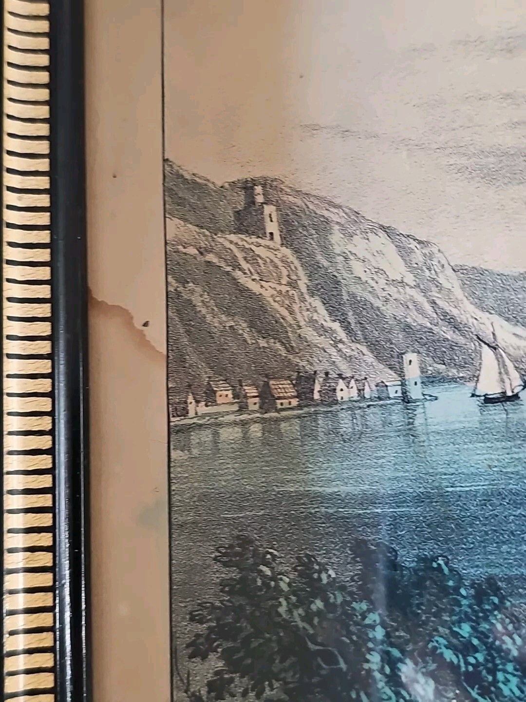 Picture 4 of 24