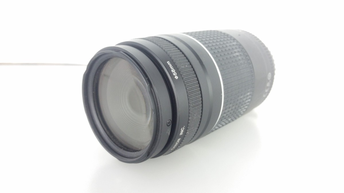 Canon Zoom Lens EF 75-300mm f/4-5.6 III USM Ultrasonic | eBay