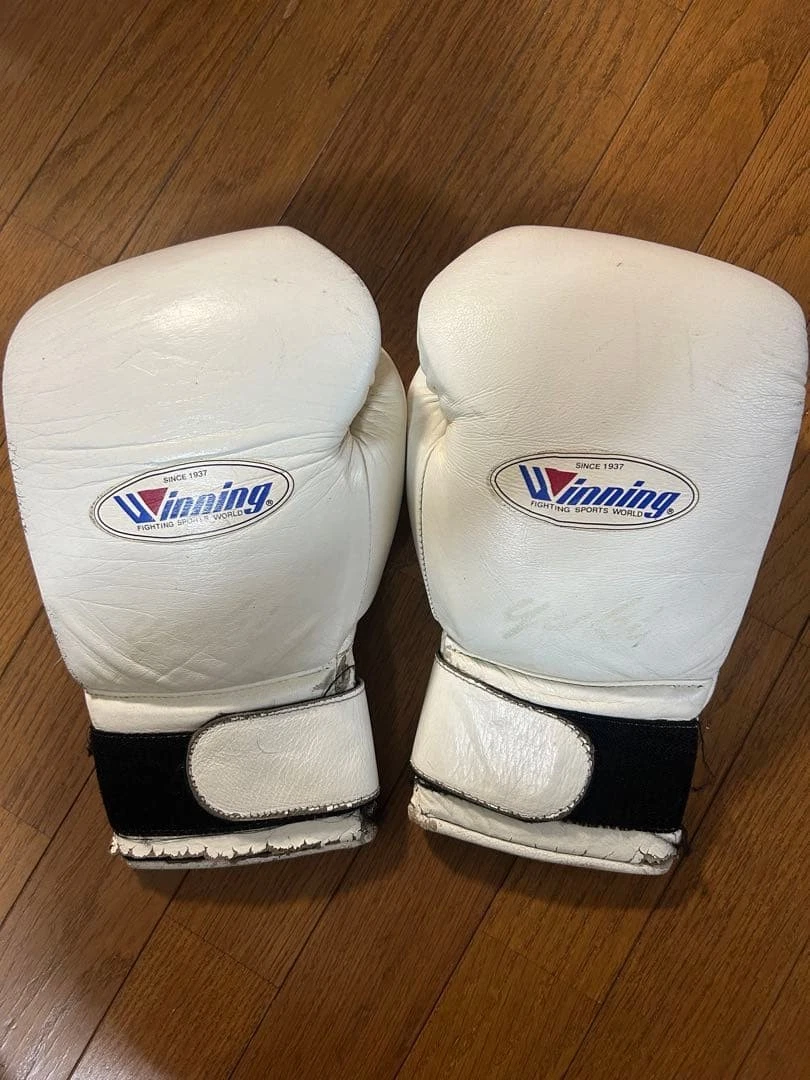 Winning White 16 oz. Weight Boxing Gloves for sale | eBay
