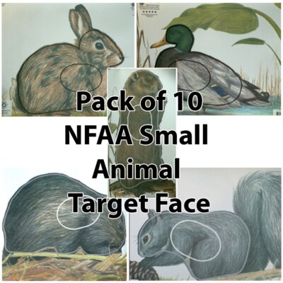 10 Stück NFAA Kleintier Zielgesichter