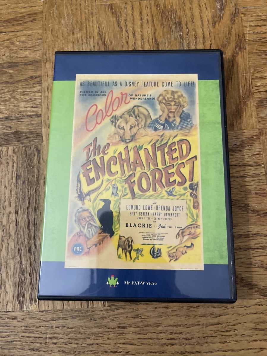 Enchanted Forest Grußkarten-Set – 8 Karten Mit Umschlägen, 12,7x17,8 Cm, Aus Recyceltem Papier