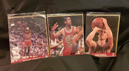 PSA 10 MICHAEL JORDAN 1989-90 FLEER STICKER INSERT CHICAGO