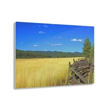 Acrylic Print Field Yellow Golden Farm Scenery High Definition Wall Art