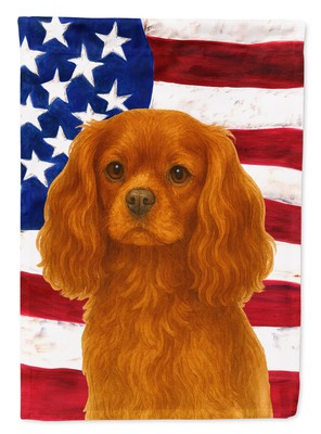 Cavalier King Charles Spaniel Ruby American Flag