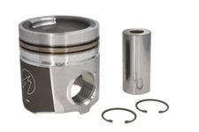 Piston FP DIESEL 3631241-FP