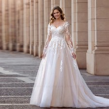 Elegant A-Line V-Neck Wedding Dresses Tulle Lace Appliques Zipper Bridal Gowns
