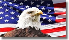 American Eagle and US Flag Wall Picture on Stretched Canvas, Ready to Hang!.