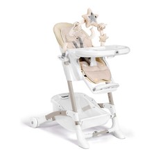 Instant C260 Moon Bear Cam