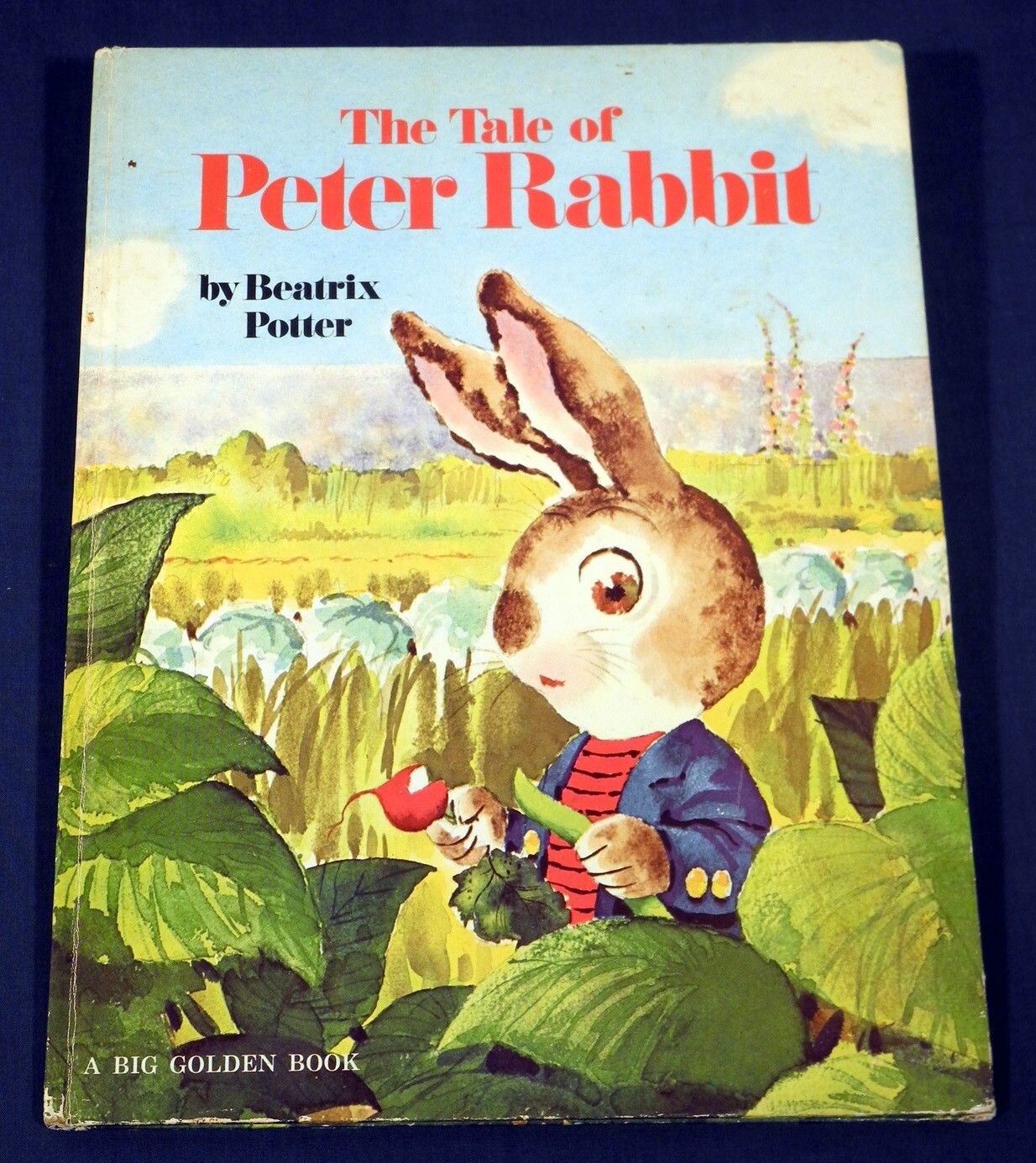 The Tale of Peter Rabbit by Beatrix Potter illustr Rod Ruth 1976 Big ...