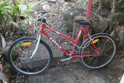 repco ladies mountain bike