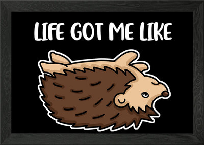 Life Got Me Like Hedgehog Framed Wall Art Poster Canvas Print Picture