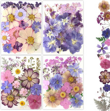 80Pcs Pressed Flowers, Dried Flowers Natural Pressed Flowers Bulk for Resin Mold