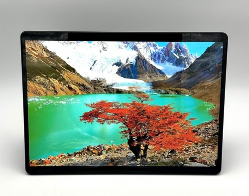 Microsoft Surface Pro X 13"SQ1" 256 Go SSD"8Go ram" excellent état