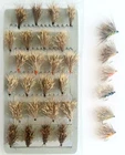 Sedgehog Stillwater x24 Box Selection Trout Dry Flies Assorted Colours