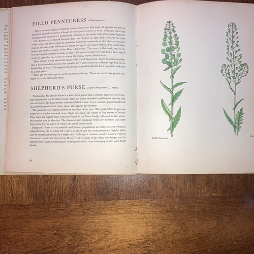 1963 WILD FLOWERS BARTON illustrated by SVOLINSKY HC 1st Edition DJ - Picture 8 of 13