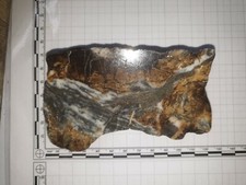 Federpyrit, Planschliff poliert,     Neudorf Harz, pseudomorph